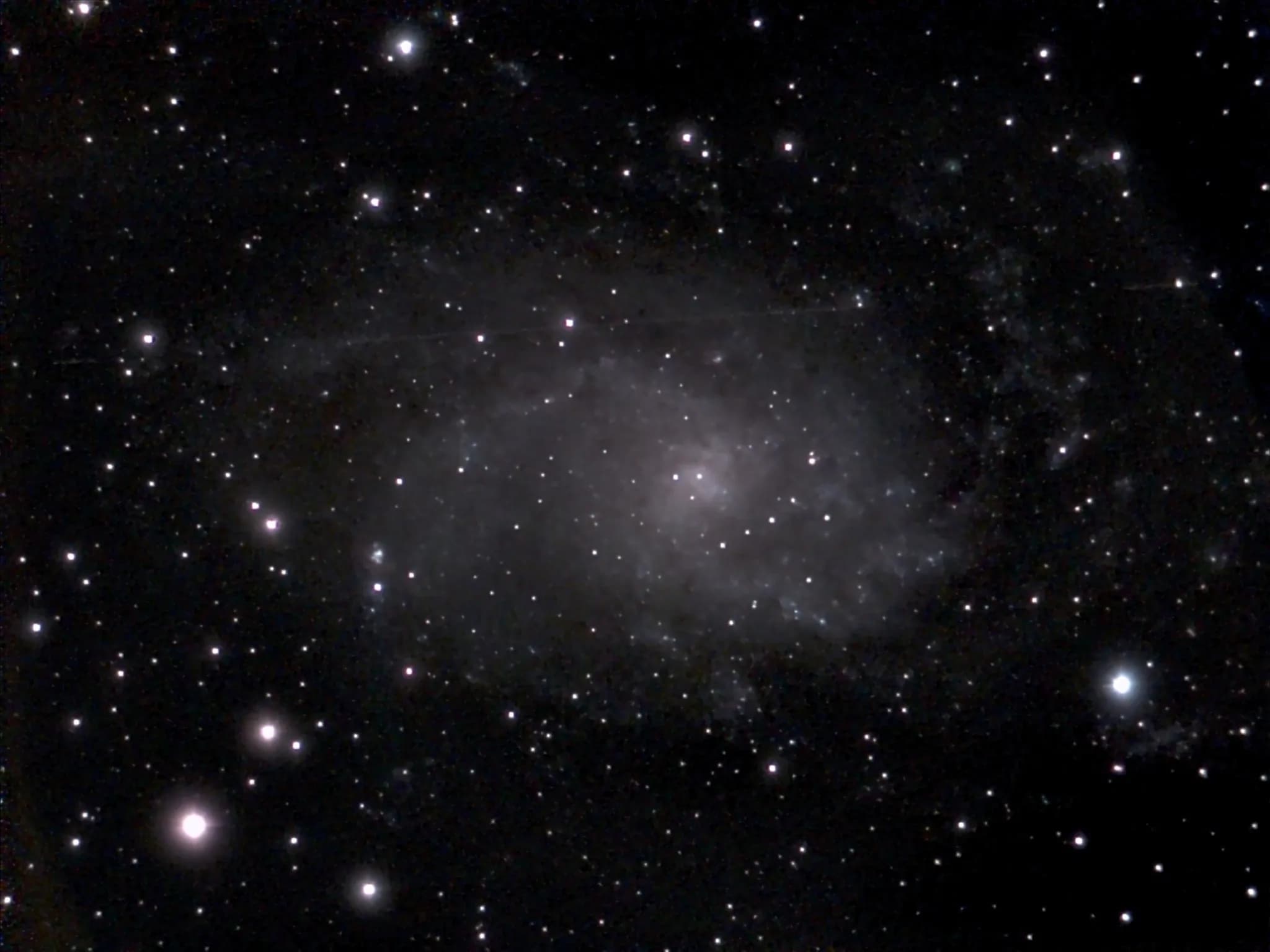 M33